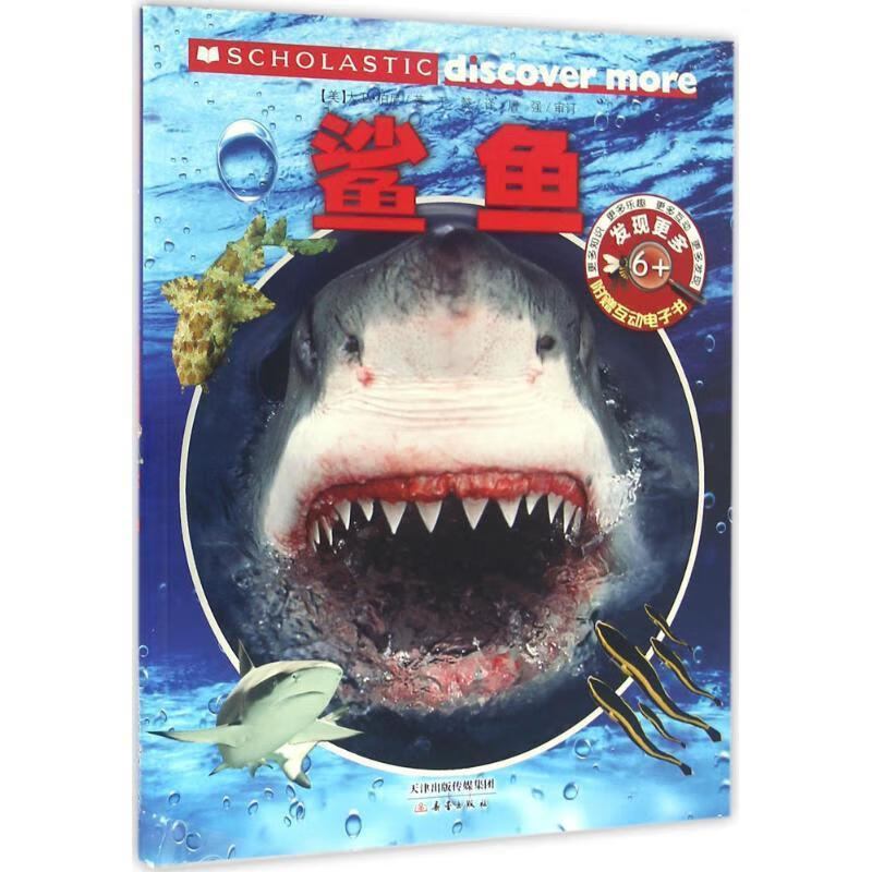 鲨鱼 大卫·伯尼 新蕾出版社 9787530763230