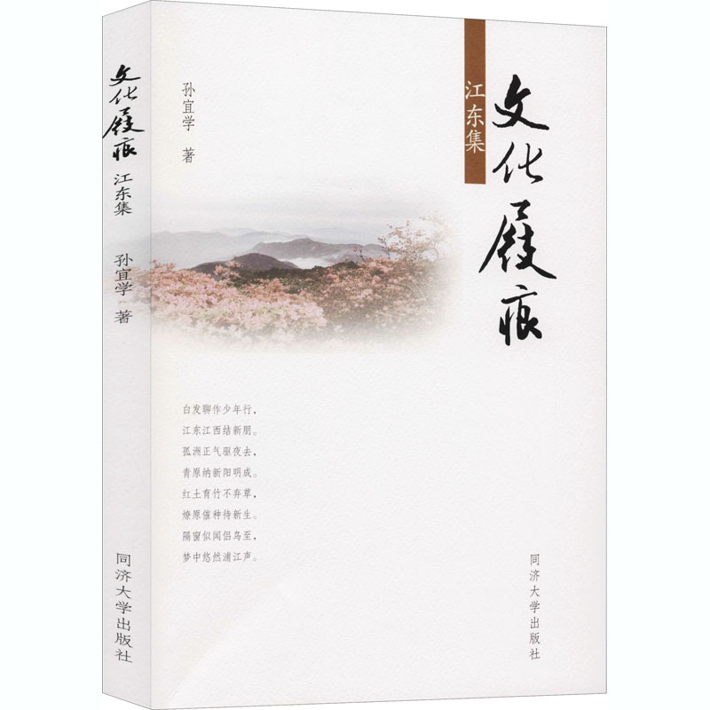 文化屐痕 江东集 孙宜学 书籍