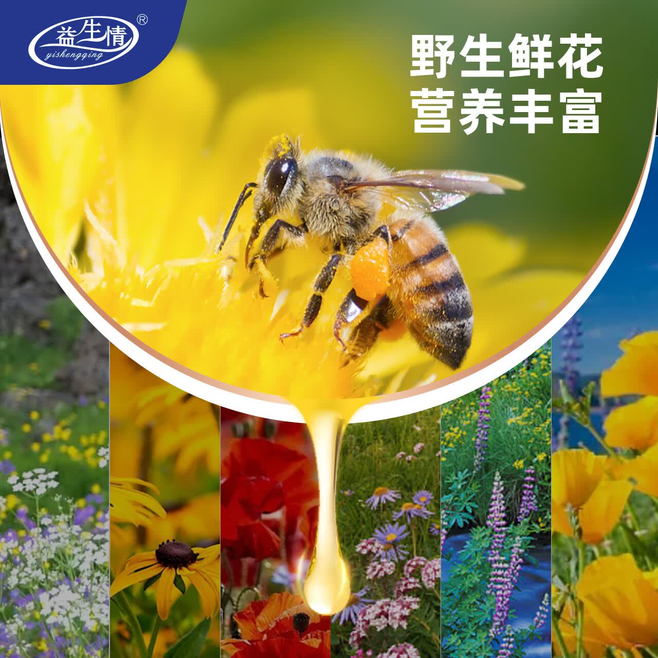 益生情深山百花蜜1300g河南特产王屋山100%农家自然成熟纯土蜂蜜