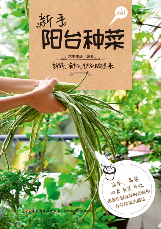 新手阳台种菜