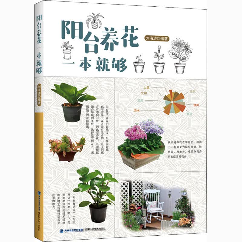 阳台养花一本就够 图书