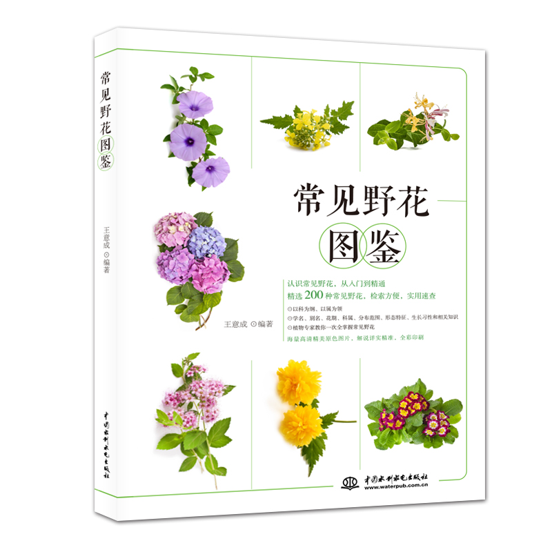 常见野花图鉴 王意成 书籍