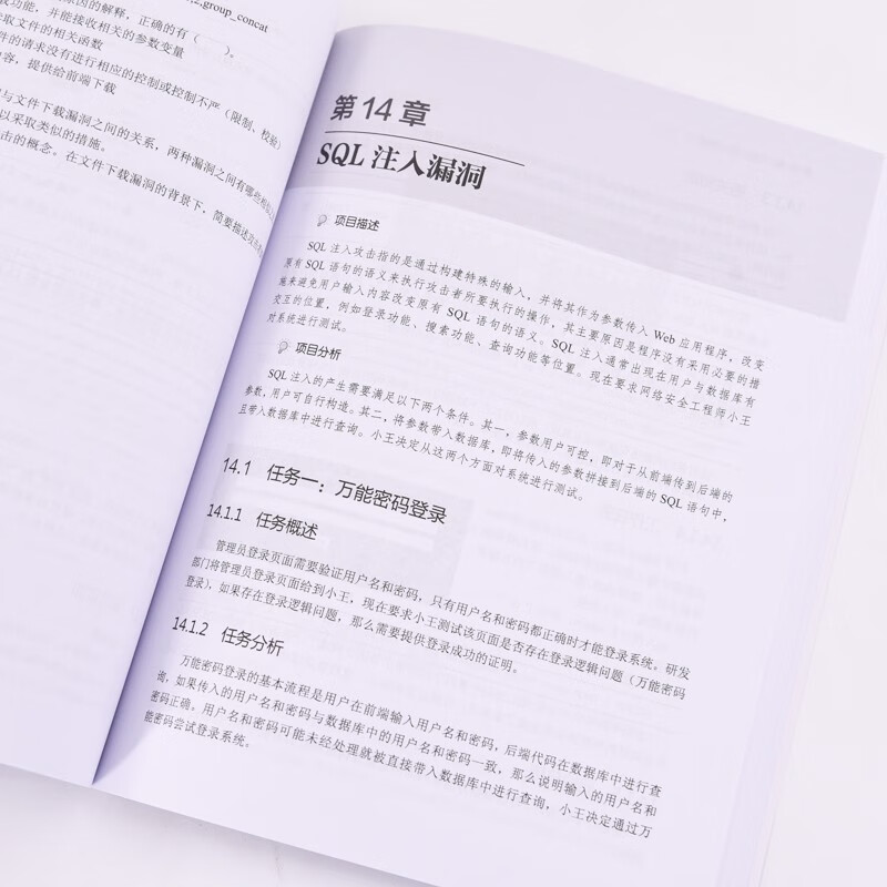 Web应用安全（异步图书出品）详情图