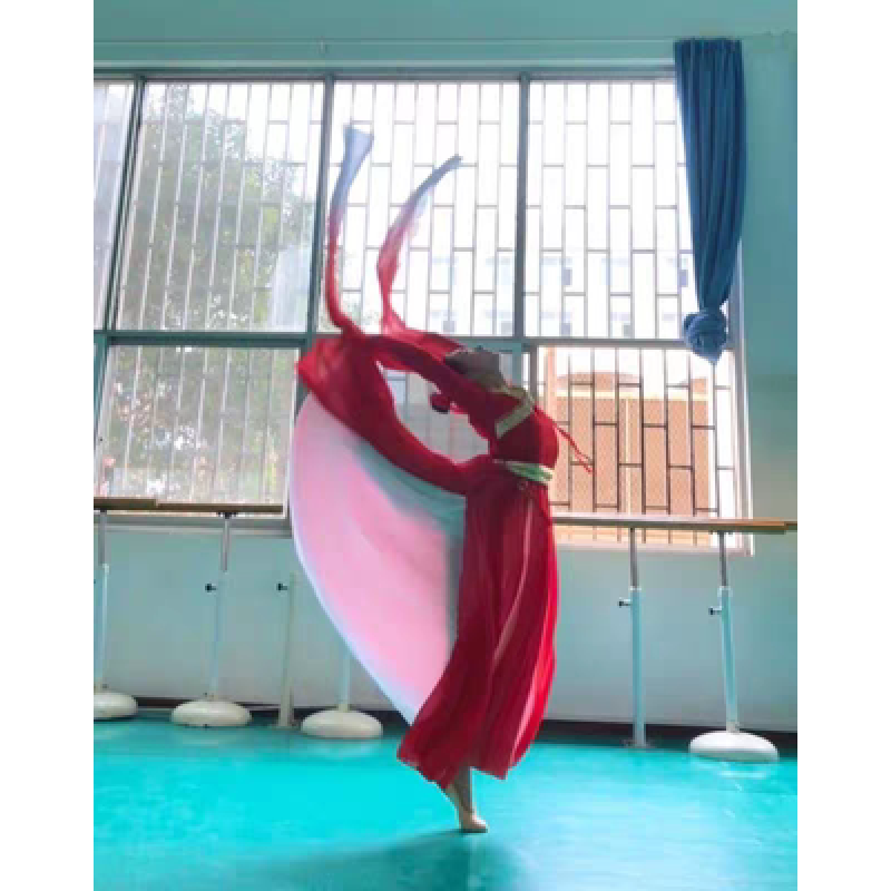 亲在惊鸿舞蹈服古典舞演出服水袖舞蹈服大鱼海棠甩袖服装女飘逸红昭愿