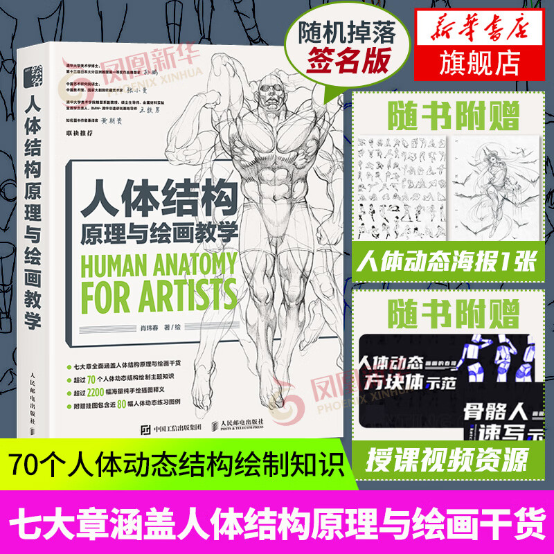 人体结构原理与绘画教学肖玮春 游戏动漫人体结构造型手绘技法人物绘画教程画画的春哥画画入门自学 书籍素描