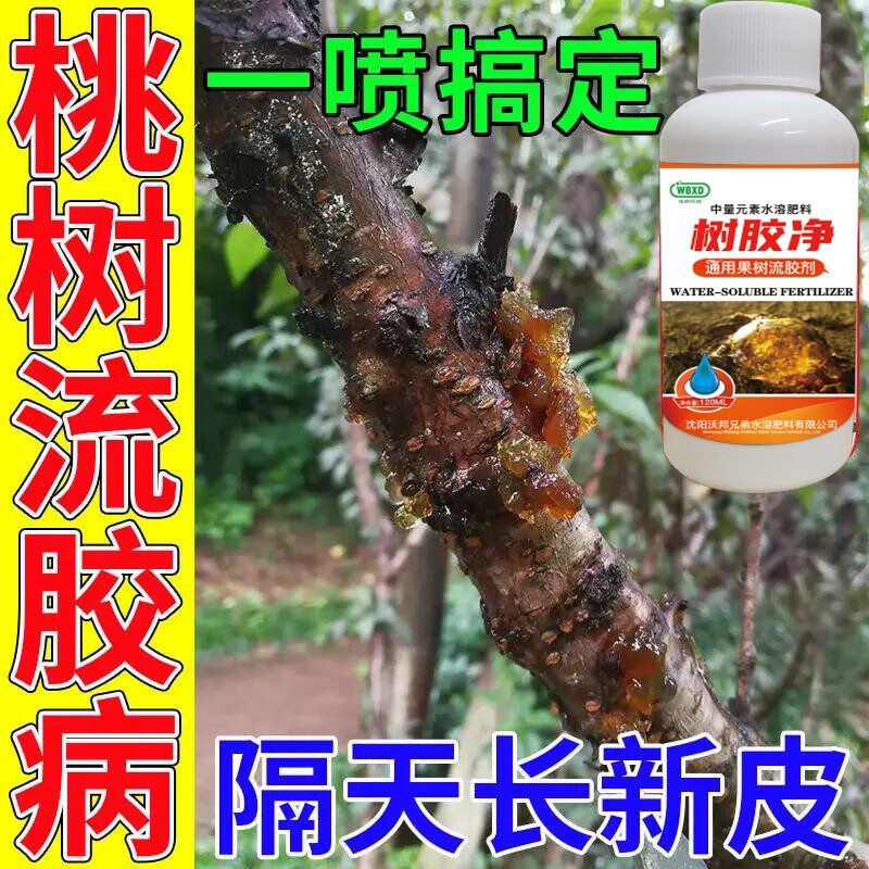 果树流胶药流胶喷喷净樱桃杏树果树溃疡病桃树流胶病专用药杀菌剂