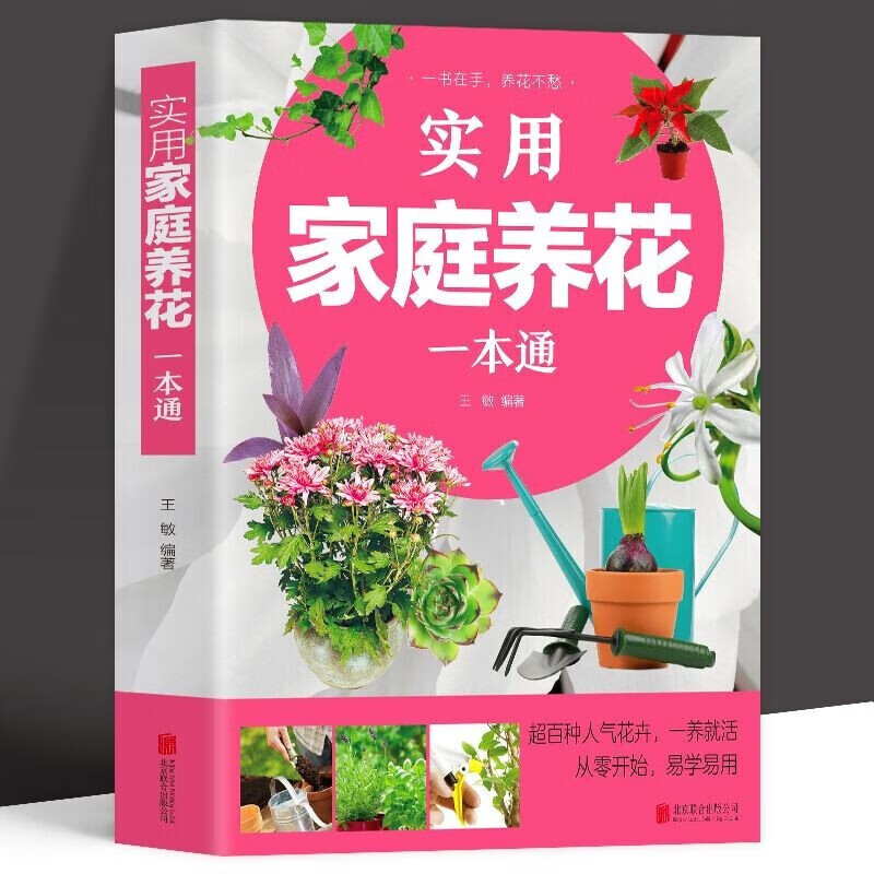 家庭四季养花一点通 养花书籍 养花基础知识 详解养花的技巧 花卉的栽培管理 花卉装饰与应用 四季养花