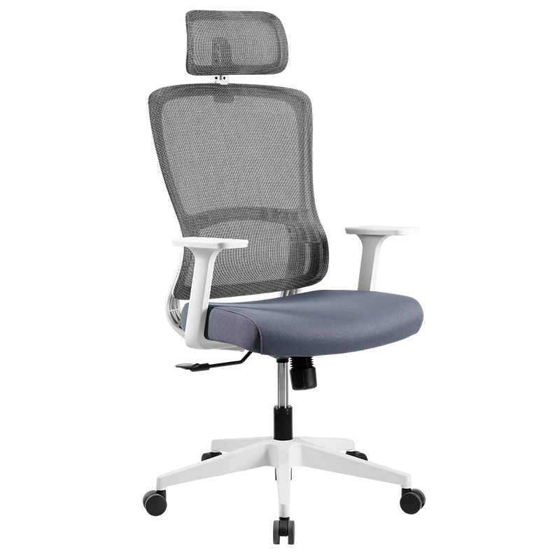 Plus��Ա������ȯ��������ѡ С�������幤ѧ��ת�� �ڿ�+��ң�������