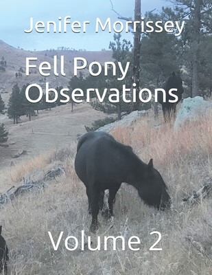 预订  fell pony observations: volume 2: 9798597997230