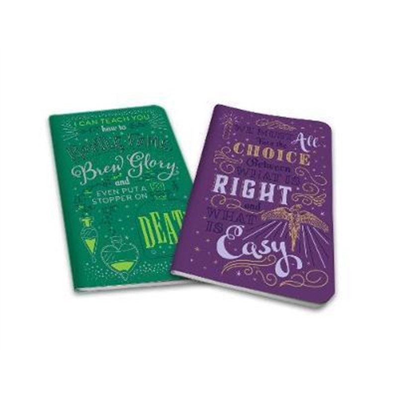 哈利波特英文原版 预订Harry Potter: Character Notebook Collection:Du