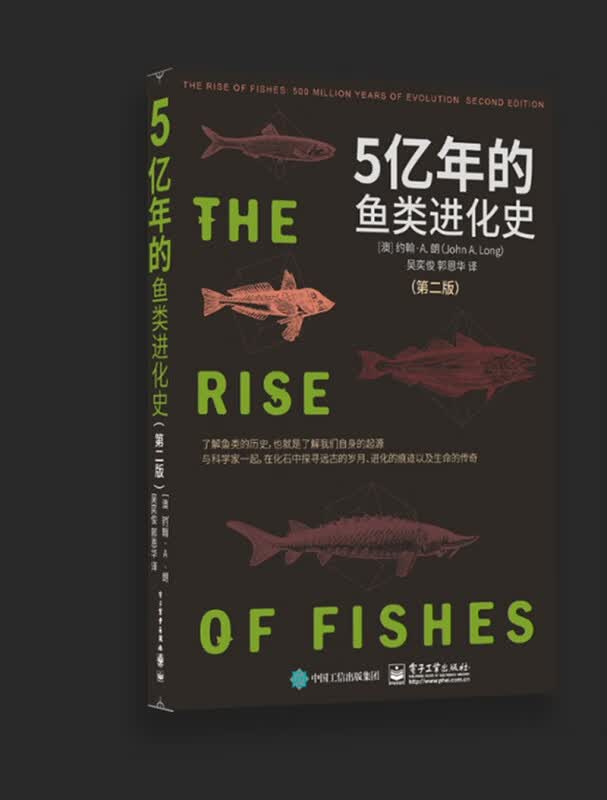 鱼类的崛起(5亿年的进化)