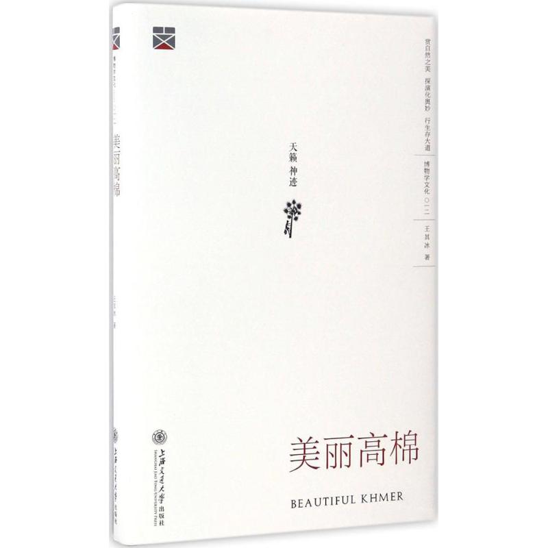 美丽高棉 王其冰 书籍