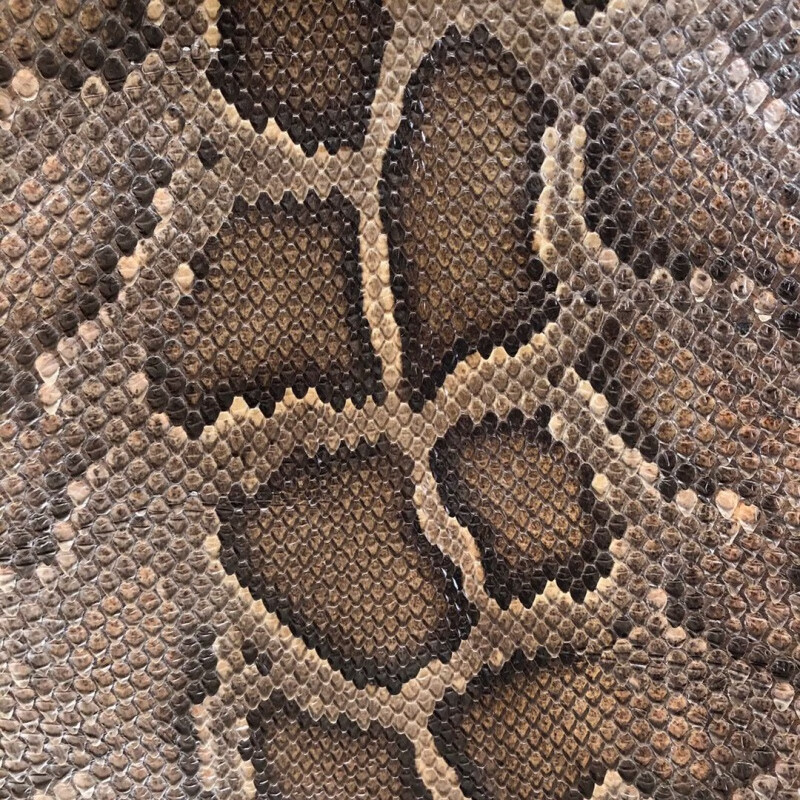 (背皮)二胡蟒蛇皮二胡皮高胡中胡皮三弦皮坠琴蒙皮 热瓦普琴皮 长14