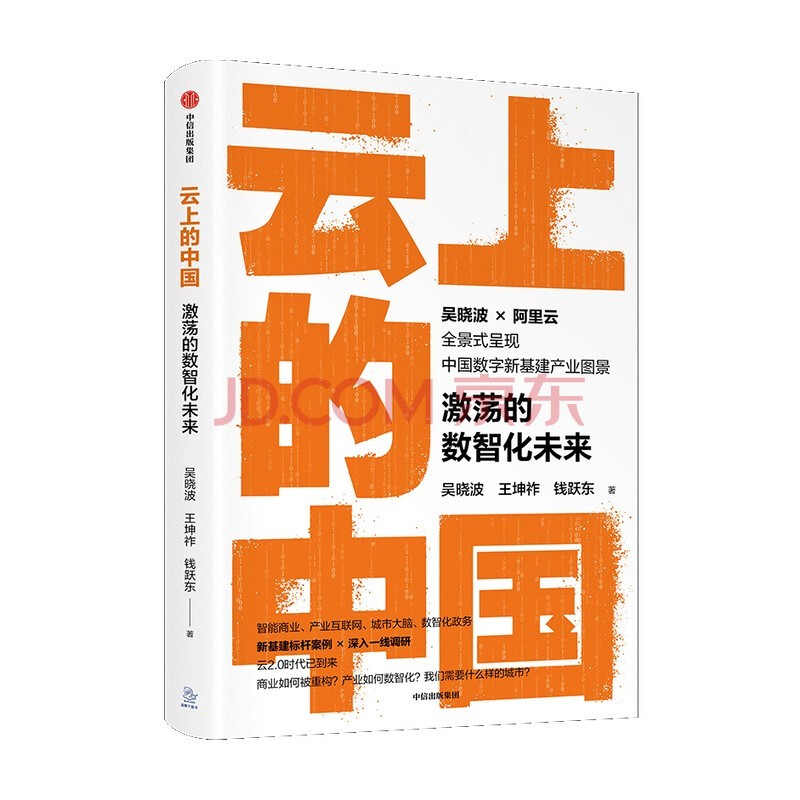 云上的中国：激荡的数智化未来 正版