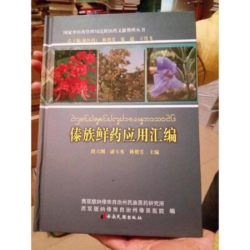 傣族鲜*应用汇编 : 汉文西双版纳傣文