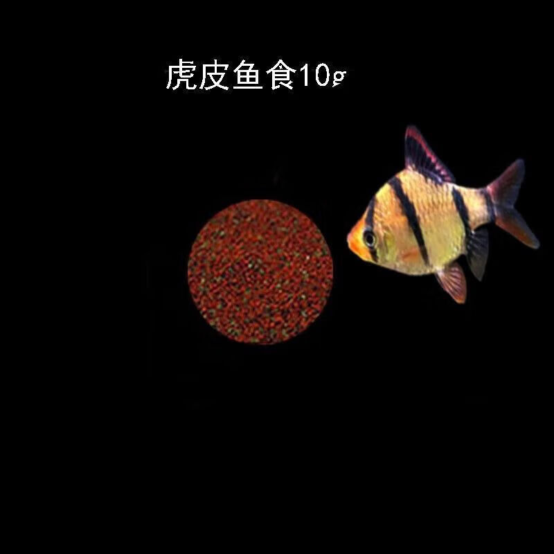 墨一金虎皮鱼热带鱼小型观赏小鱼群游鱼四间虎皮鱼淡水好养耐活 四间