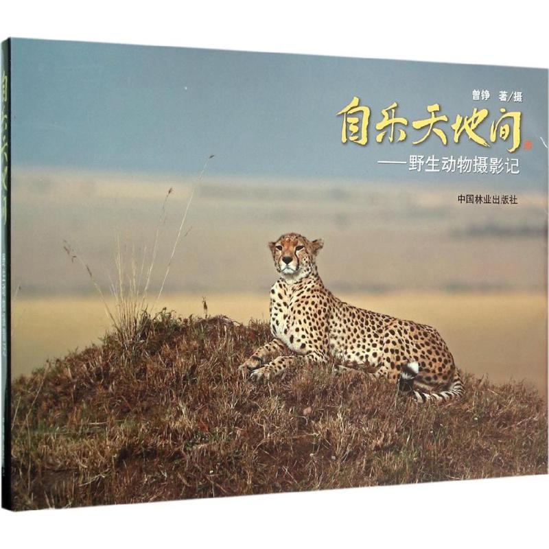 自乐天地间