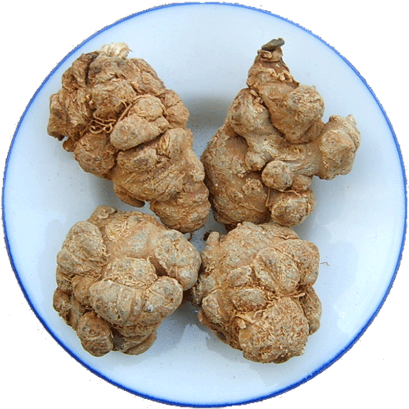 滇域茗草 文山三七20头精选春三七田七头 一斤(24只)