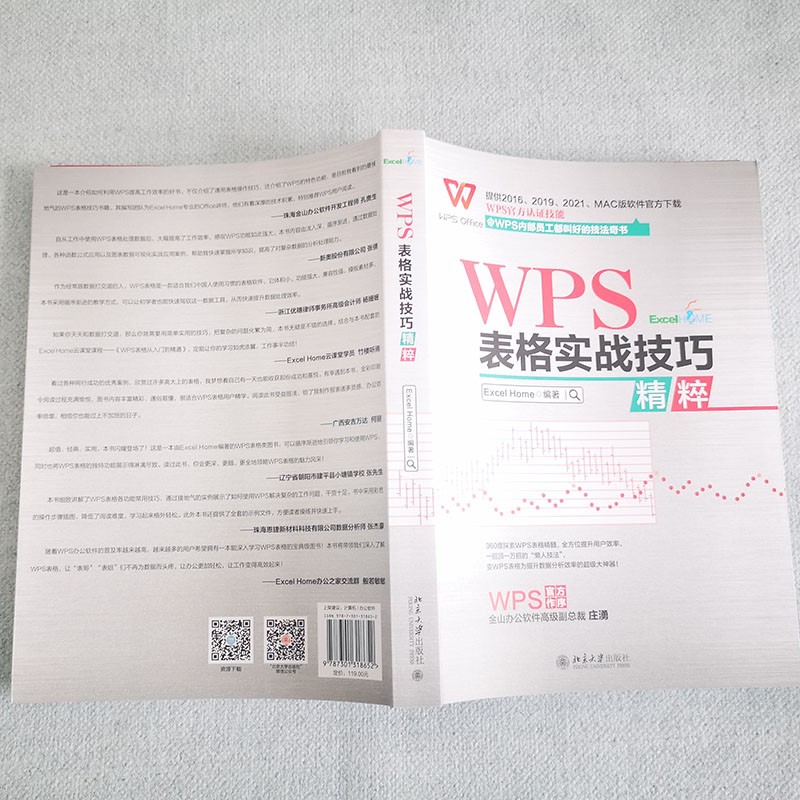 WPS表格实战技巧精粹 WPS官方认证 ExcelHome出品 全彩高效办公书