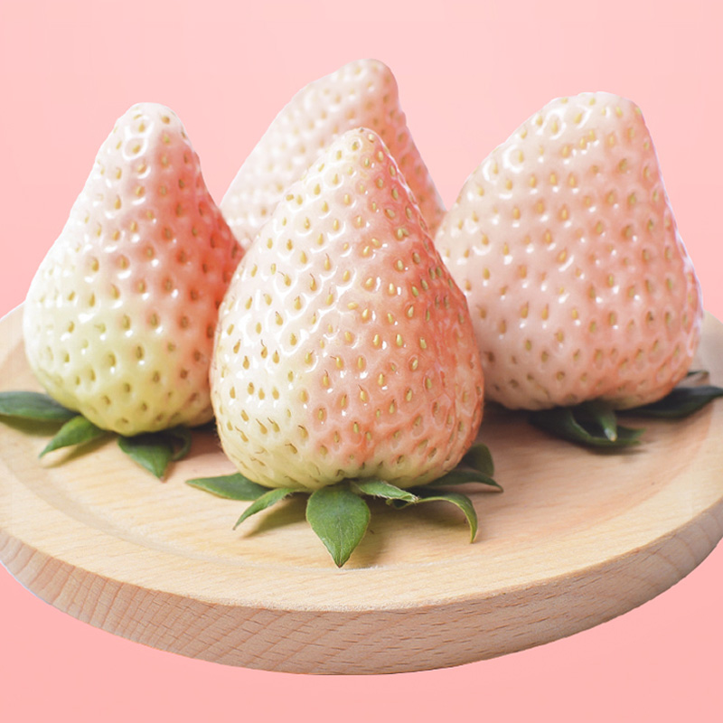 【现摘现发顺丰直达】种子日本淡雪草莓白雪公主孕妇牛奶油生鲜水果专区有机白色草莓礼盒 淡雪草莓3斤装