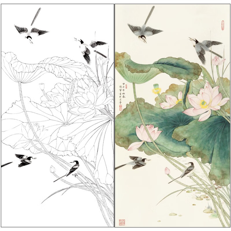 陈军工笔画白描底稿荷花鹡鸰鸟四尺原大66×130厘米花鸟线稿带a3步骤