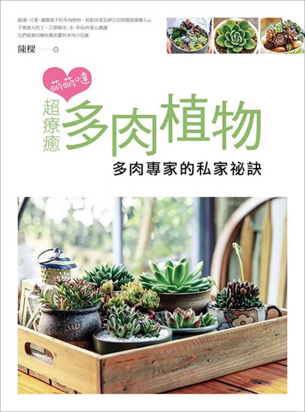 预售 陈梁 萌萌哒！超疗愈多肉植物：多肉专家的私家秘籍 脚文化