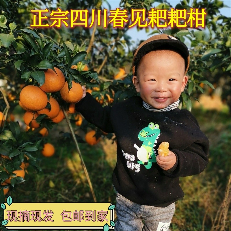京东9.9包邮 2021-03-06 - 第28张 | 最新购物优惠券 京东9.9包邮 2021-03-06 - 第28张 | 最新购物优惠券