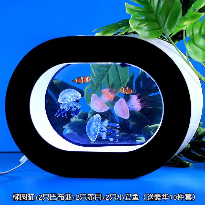 观赏鱼缸桌面造景生态瓶小型恒温饲养缸客厅水族箱 椭圆缸混养组合