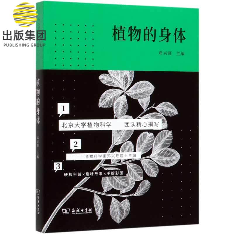 植物的身体