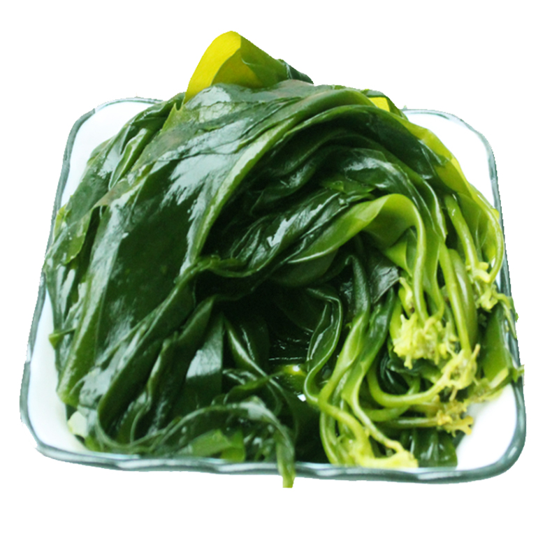 味巴哥小海带苗嫩5斤新鲜霞浦嫩海带芽凉拌菜海带薄嫩三秒火锅福建