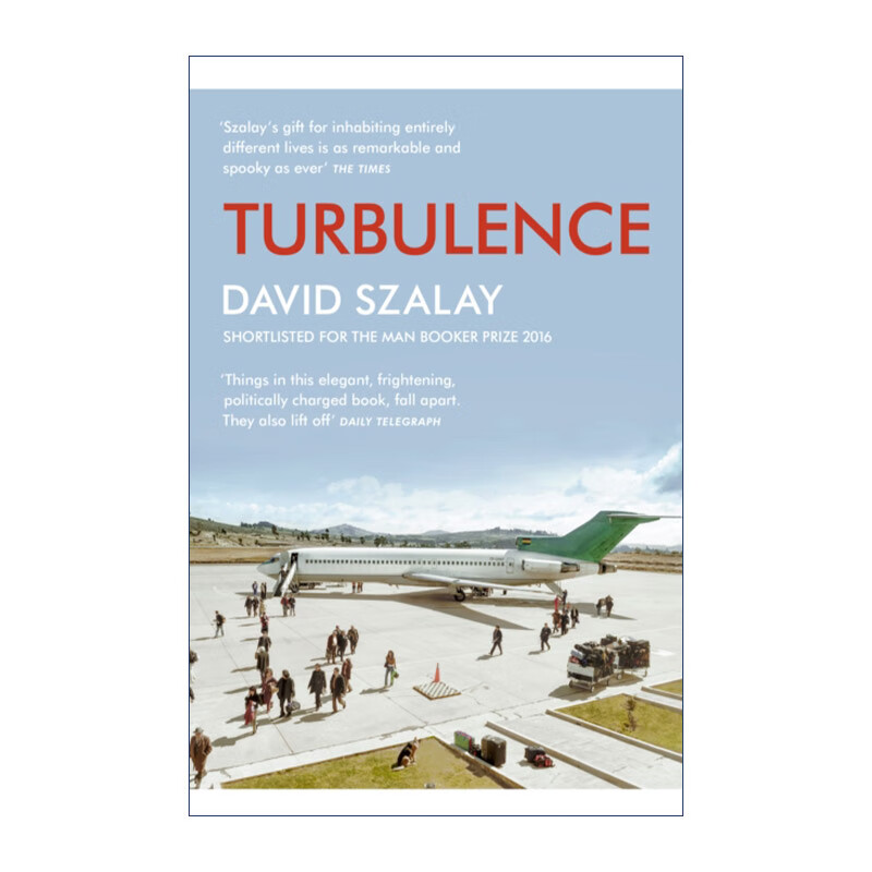 英文原版 turbulence 湍流 大卫·索洛伊 英文版 进口英语原版书籍