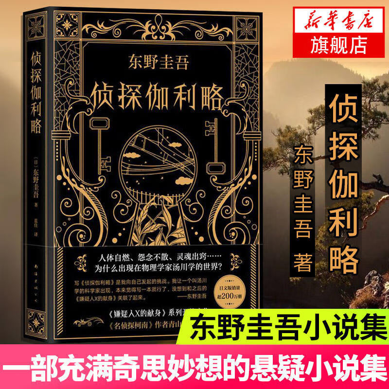 侦探伽利略 东野圭吾 白夜行恶意放学后嫌疑人 外国侦探悬疑推理小说