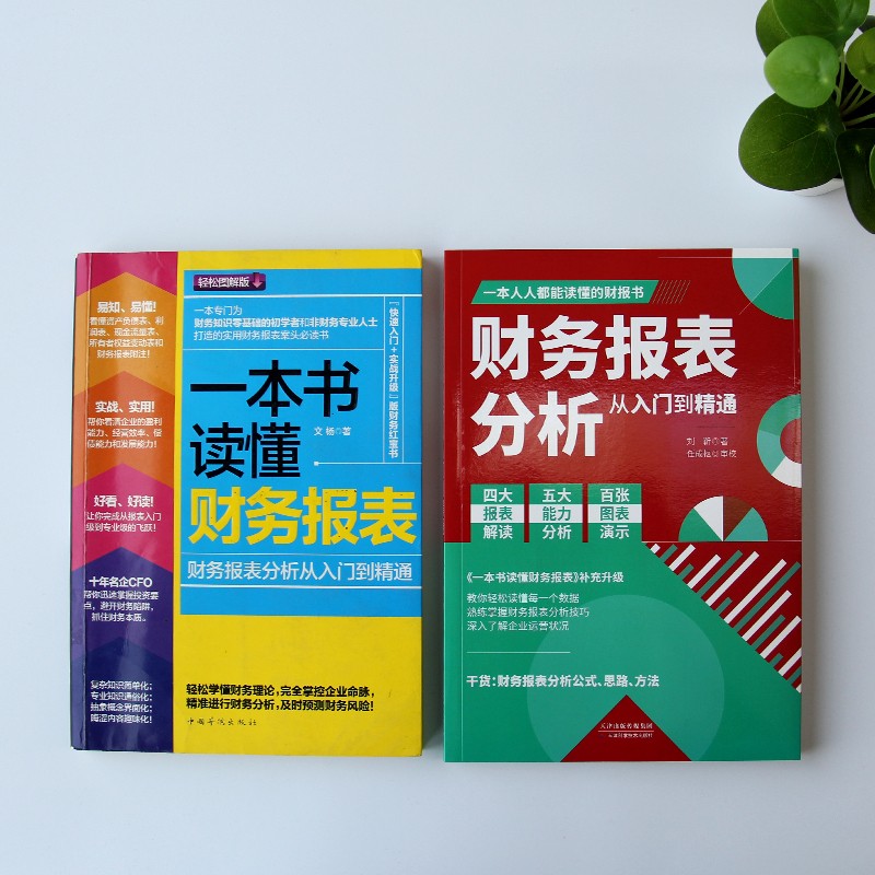 财务报表分析共2册 财务报表分析从入门到精通+一本书读懂财务报表 掌握报表分析技巧企业财务管理会计书