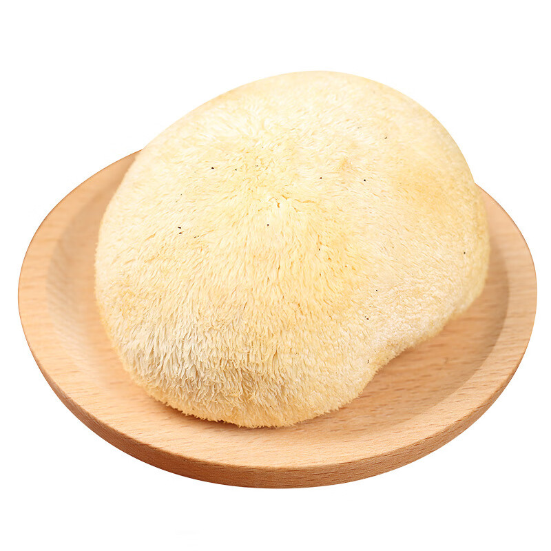 禾澹猴头菇新鲜云南当季时令蔬菜食用菌农家营养菌菇蘑菇500g 猴头菇