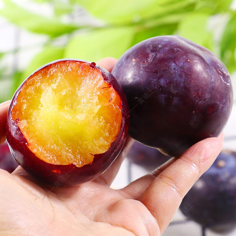 十里馋2023新鲜上市现摘黑布林李子 新鲜当季水果整箱应季 5斤