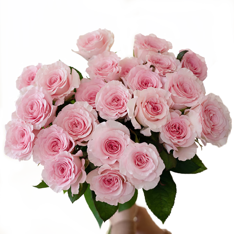 �����ʻ�õ�廨�����ɫ10֦������������Ů�������������ʻ�Դͷֱ��