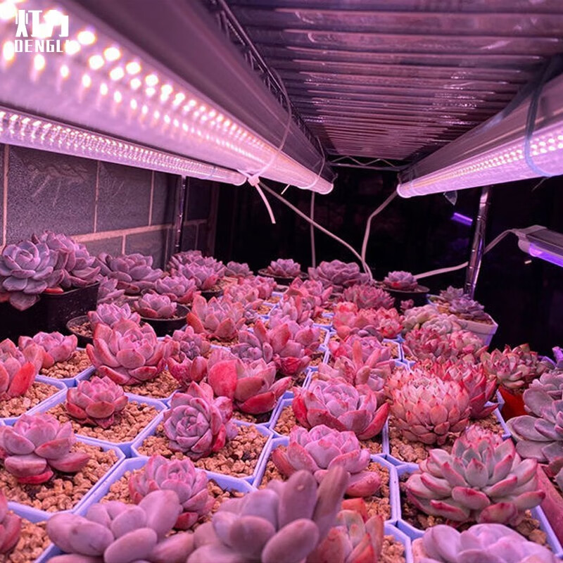 灯力 植物生长灯LED全光谱蔬菜温室大棚室内多肉花卉自然光补光灯 全光谱LED【0.6米18W】红蓝光