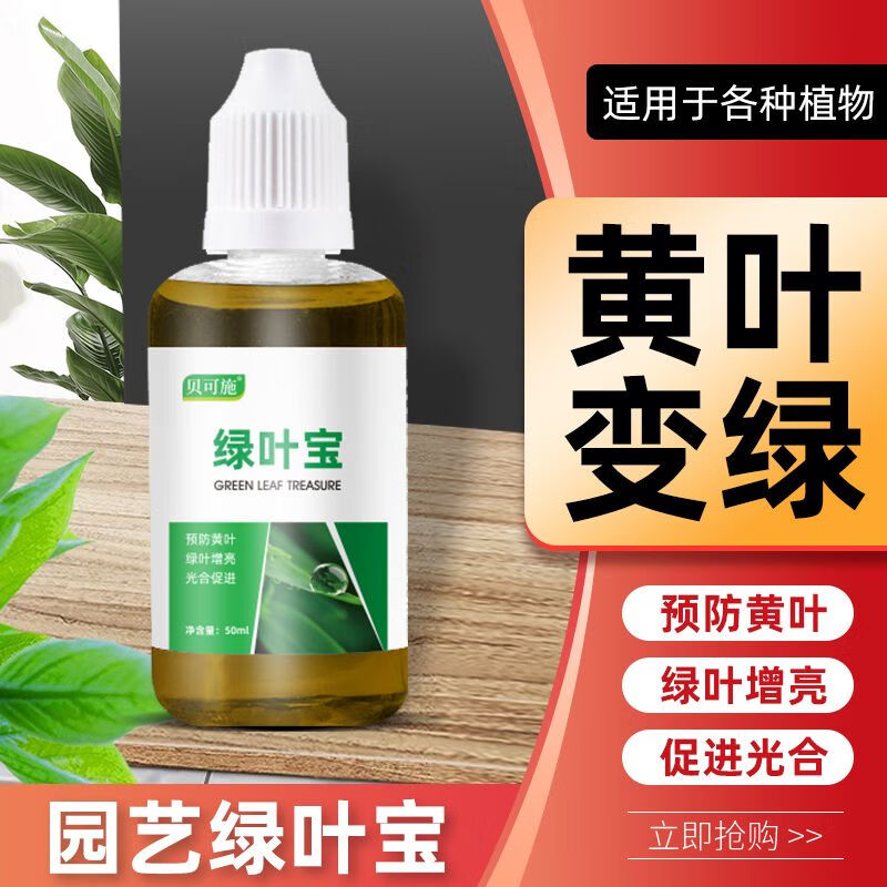 贝可施绿叶宝营养液解决浓缩植物室内液体快速专用通用型碧绿水培叶绿