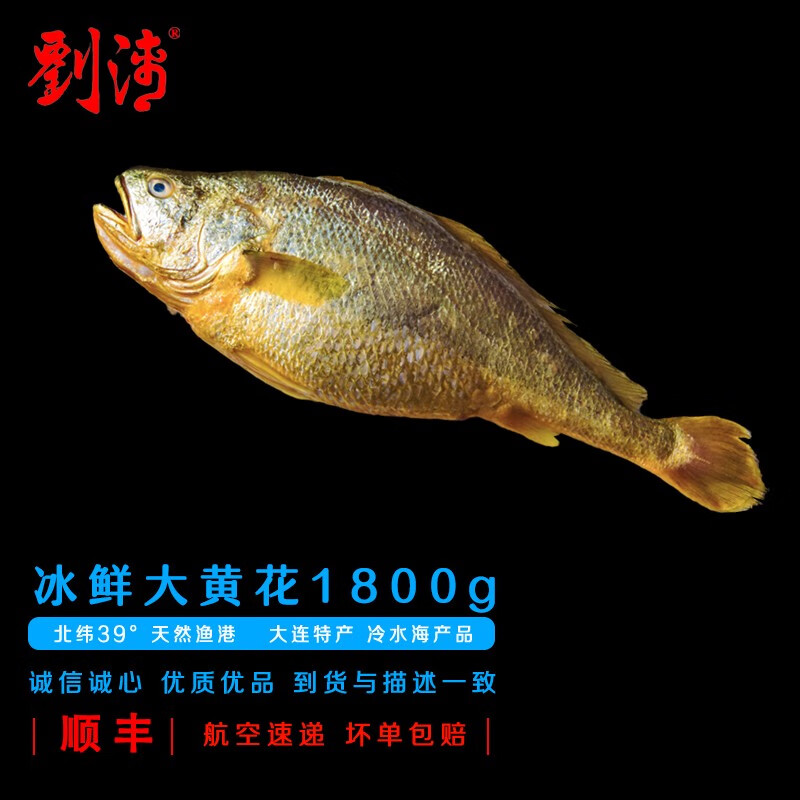 劉清大连海鲜 特大深海黄花鱼1800g2条 冰鲜水产 新鲜海鱼 春节年货