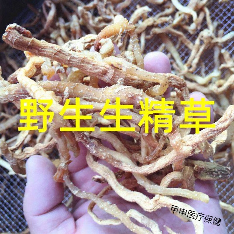 云南苗族中药材生精草不倒草起阳草阳起草 泡茶泡酒煲汤 生精草102克