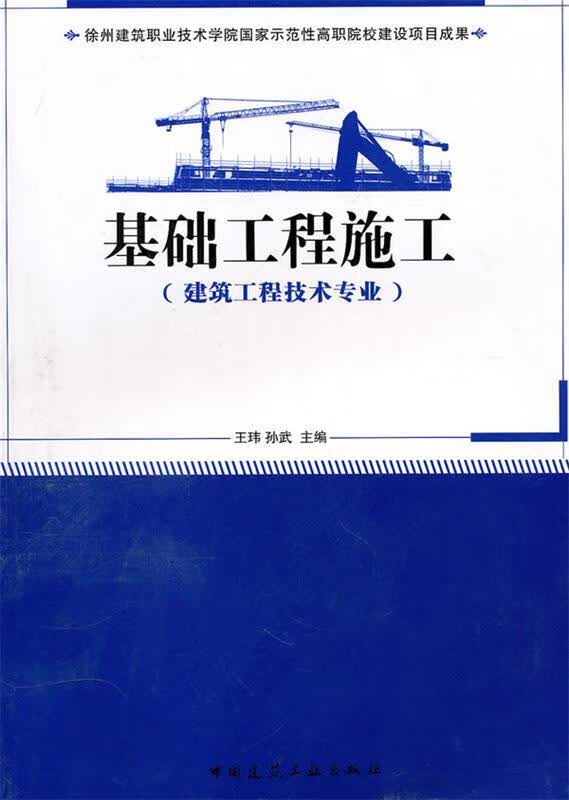 基础工程施工 王玮【正版】