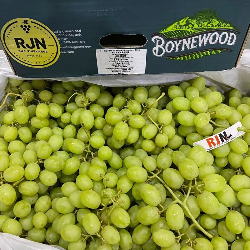 皓谦澳洲进口甜地球秋天酥青提 无籽秋天脆葡萄脆甜多汁新鲜孕 0.5斤