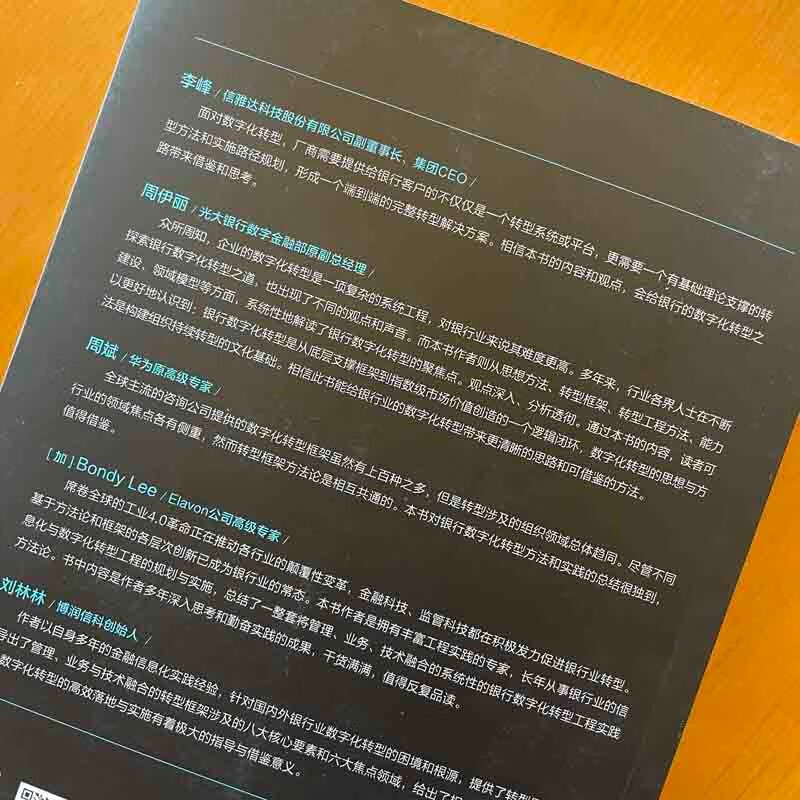 银行数字化转型方法与实践 转型框架、领域建模与业务模式创新详情图