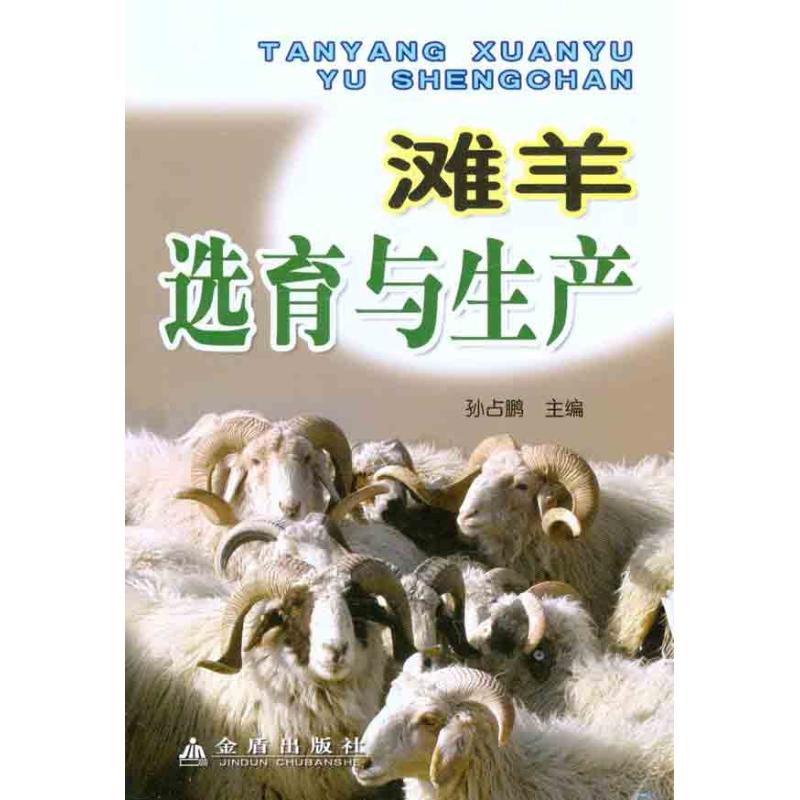 滩羊选育与生产