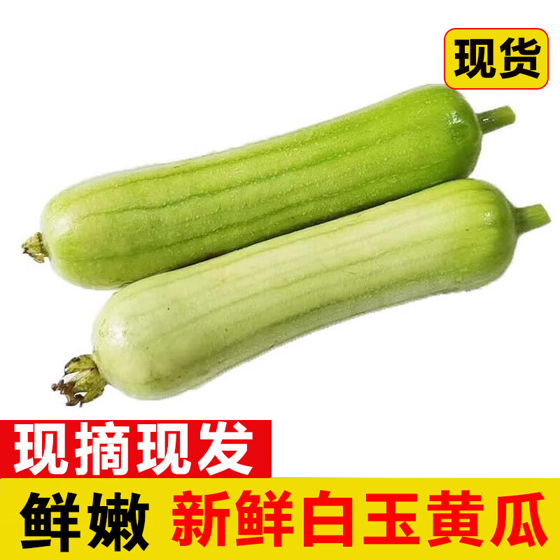 辰实【现出】湖南白玉丝瓜 牛奶丝瓜新鲜嫩肉丝瓜 白水瓜蔬菜现摘 3斤
