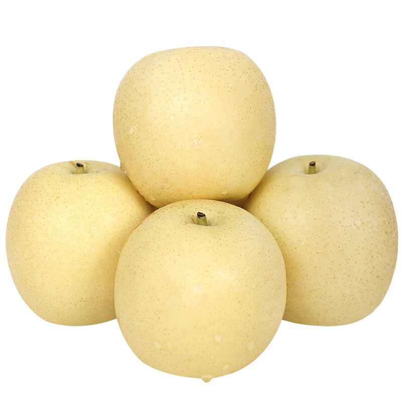 zxc河北皇冠梨 新鲜梨子水果 脆甜多汁 5斤中果