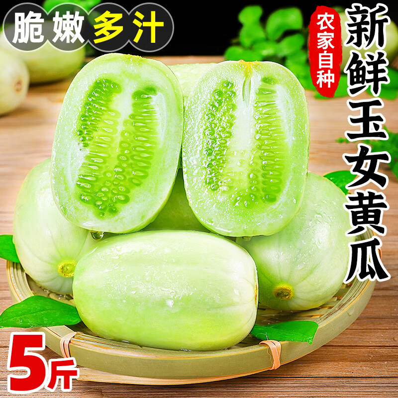 拇指黄瓜 水果玉女小黄瓜 新鲜寿光网红蔬菜金童玉女瓜 5斤 拇指玉女