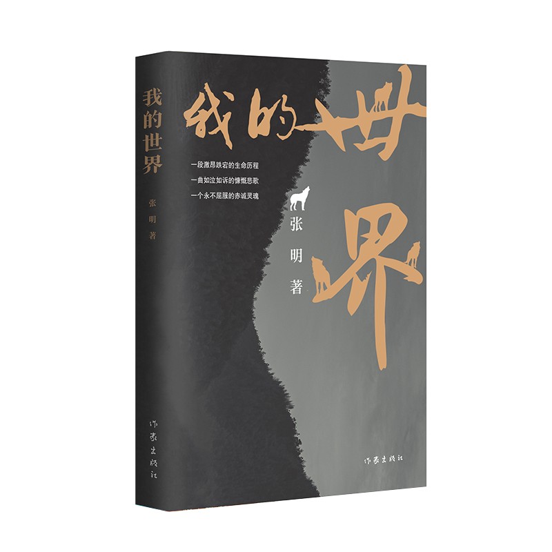 我的世界（一段跌宕激昂的生命历程）