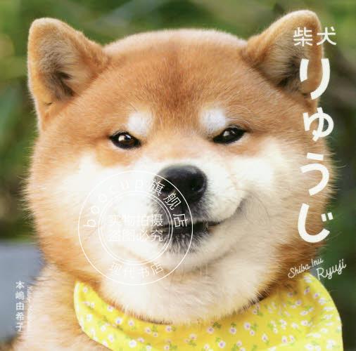 现货 进口日文 柴犬写真集 狗子 治愈 柴犬りゅうじ