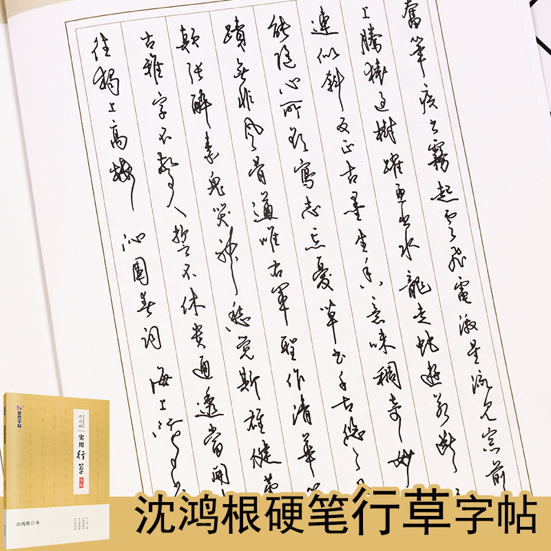 沈鸿根钢笔行书字帖墨点公务员申论考试实用字帖名家手写硬笔书法学生